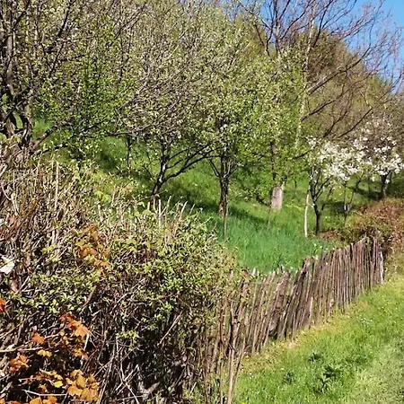 Lejlighed Pirol: Dorf Hideaway Gornja Breza