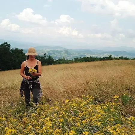 Daire Pirol: Dorf Hideaway Gornja *