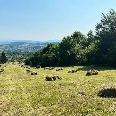 Pirol: Dorf Hideaway Gornja Lejlighed