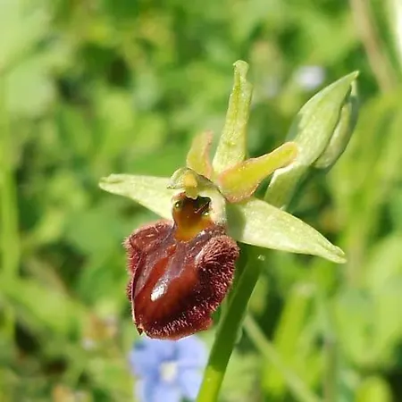 Daire Pirol: Dorf Hideaway Gornja