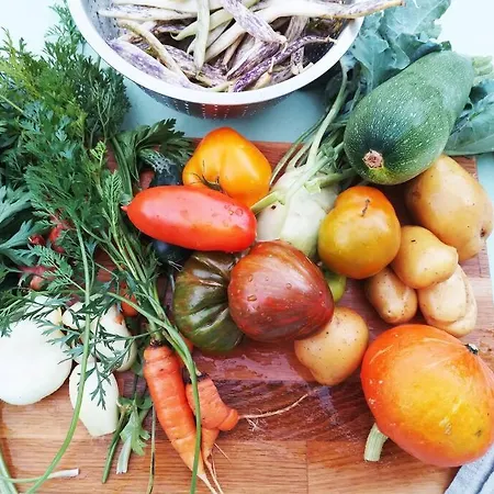 Daire Pirol: Dorf Hideaway Gornja *