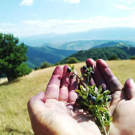 Pirol: Dorf Hideaway Gornja Daire *