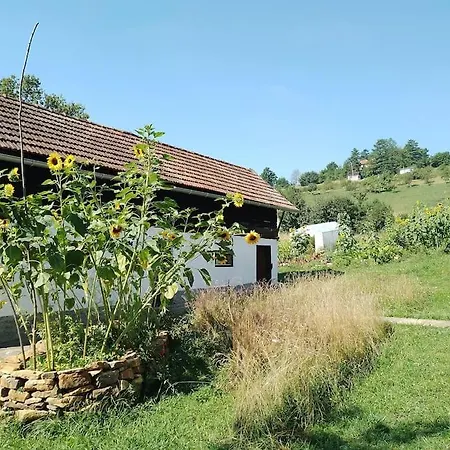 Lejlighed Pirol: Dorf Hideaway Gornja
