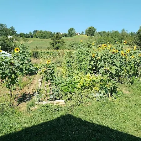 Pirol: Dorf Hideaway Gornja Daire