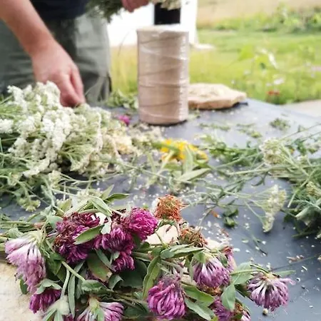 Pirol: Dorf Hideaway Gornja Breza