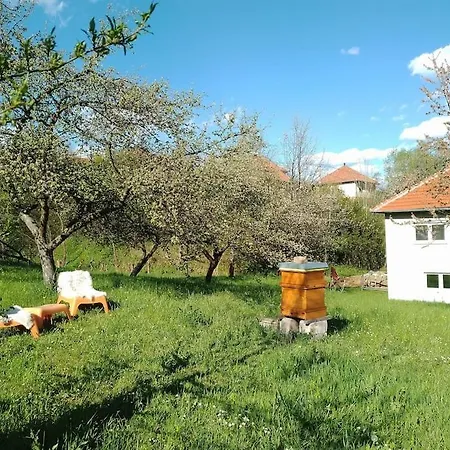 Daire Pirol: Dorf Hideaway Gornja